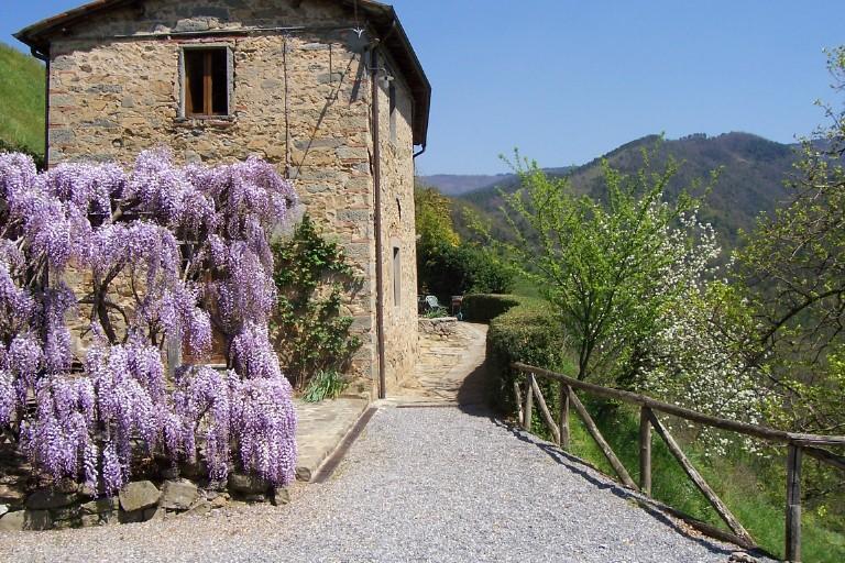 ペーシャFattoria Di Pietrabuonaアパートメント エクステリア 写真